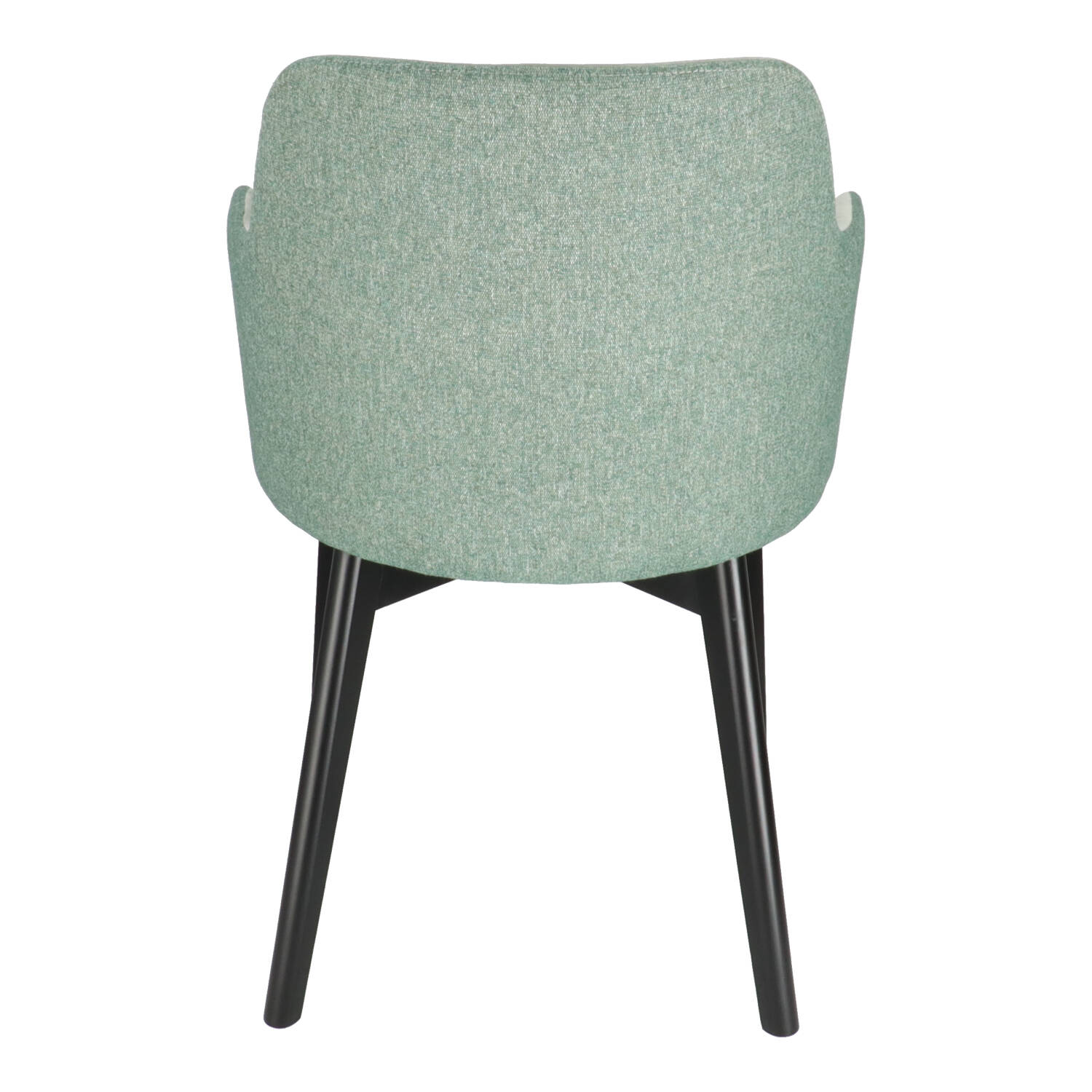 T JANEIRO ARM Mint elegant Upholstered indoor chair